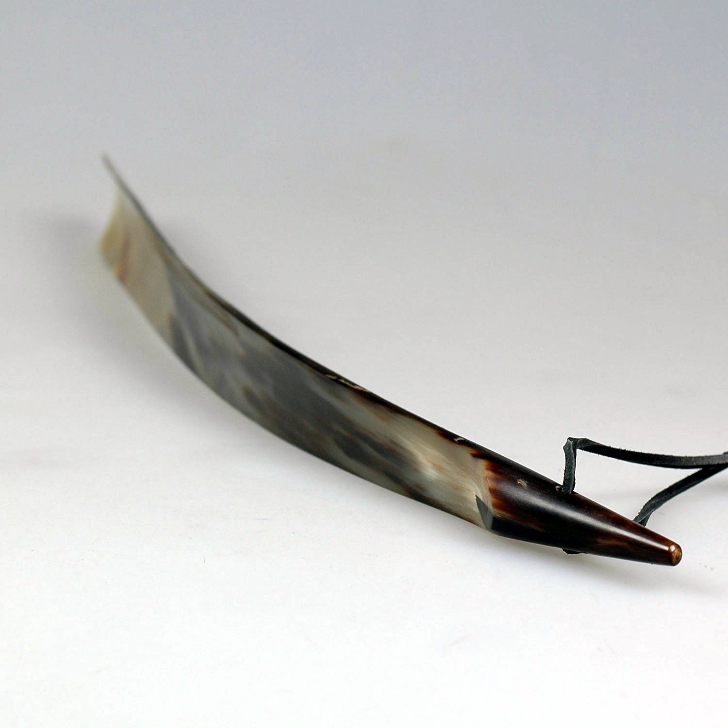 Abbeyhorn Shoehorn 24' Tip End