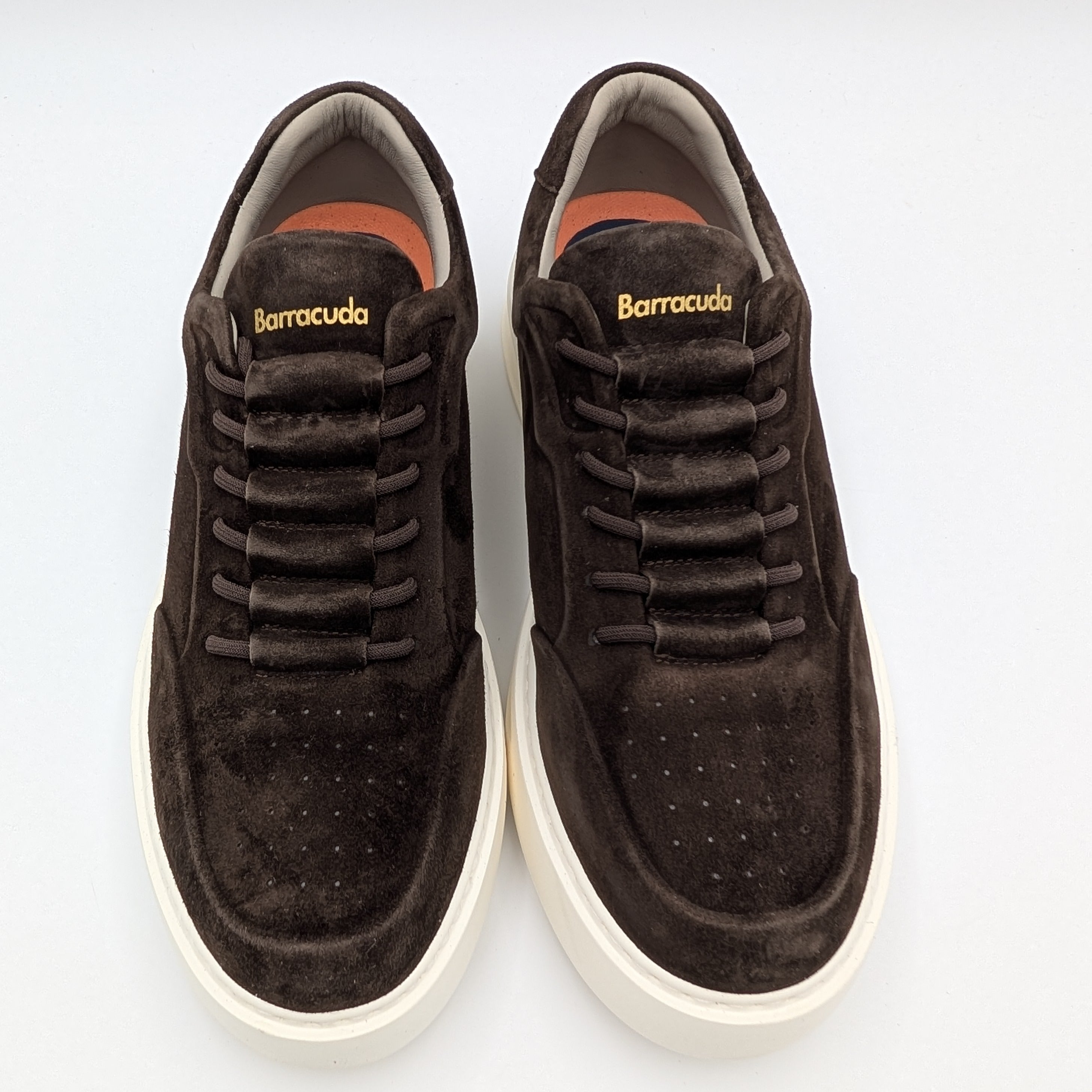 Sneaker Phoenix Soft Suede Dark Brown